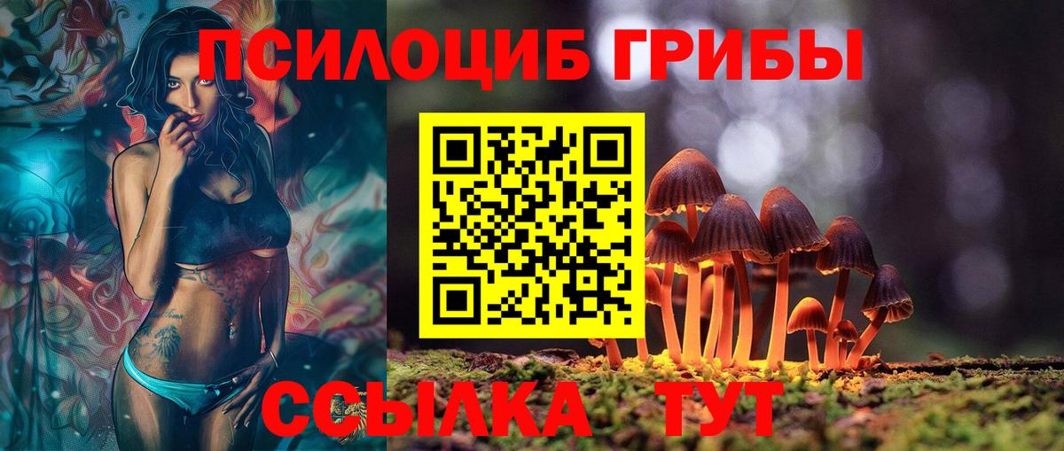 Благодарный  Галлюциногенные грибы Psilocybine cubensis  Псилоцибиновые грибы ЛСД  Вход с VPN 